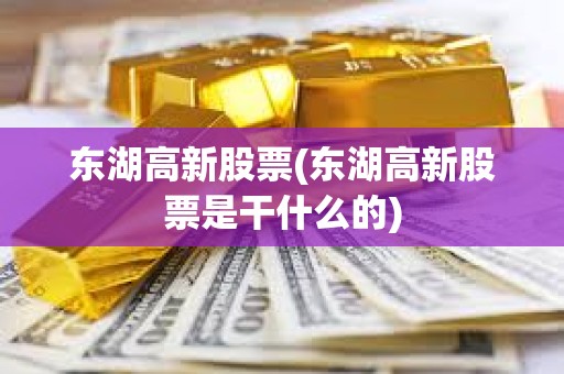 東湖高新股票(東湖高新股票是干什么的)