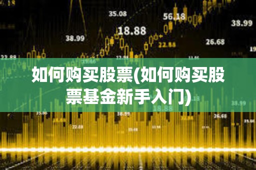 如何購買股票(如何購買股票基金新手入門) 如何購買股票(如何購買股票基金新手入門)