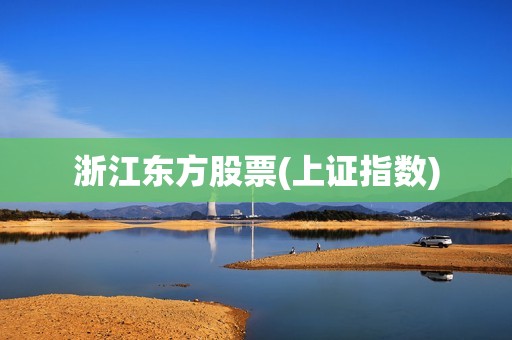 浙江東方股票(上證指數) 浙江東方股票(上證指數)