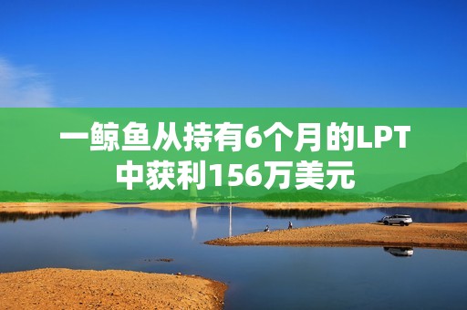 一鯨魚從持有6個月的LPT中獲利156萬美元