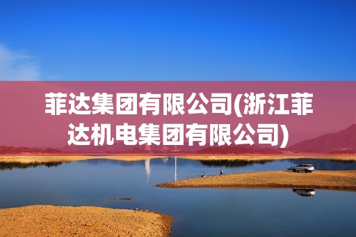 菲達集團有限公司(浙江菲達機電集團有限公司) 菲達集團有限公司(浙江菲達機電集團有限公司)