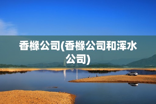 香櫞公司(香櫞公司和渾水公司)
