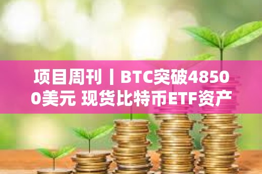 項目周刊丨BTC突破48500美元 現貨比特幣ETF資產管理規模達100億美元里程碑