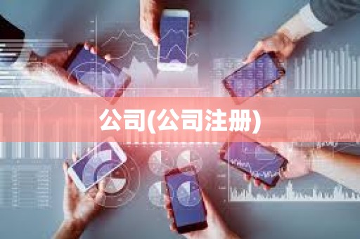 公司(公司注冊) 公司(公司注冊)