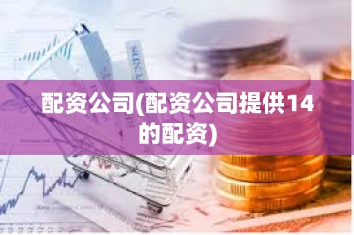 配資公司(配資公司提供14的配資)