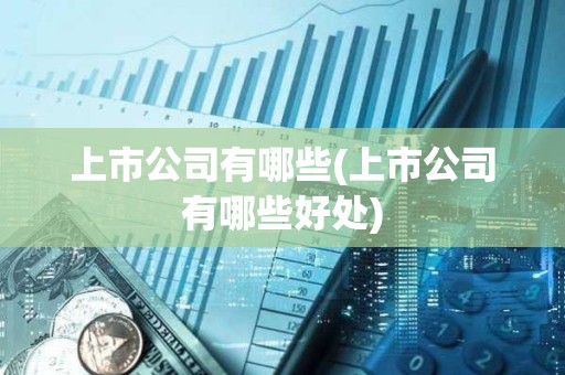 上市公司有哪些(上市公司有哪些好處) 上市公司有哪些(上市公司有哪些好處)