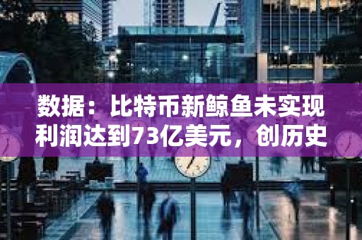 數據：比特幣新鯨魚未實現利潤達到73億美元，創歷史新高