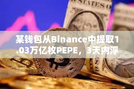 某錢包從Binance中提取1.03萬億枚PEPE，3天內浮盈134萬美元