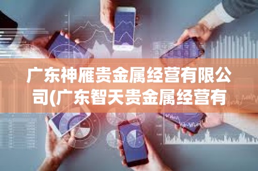 廣東神雁貴金屬經營有限公司(廣東智天貴金屬經營有限公司)