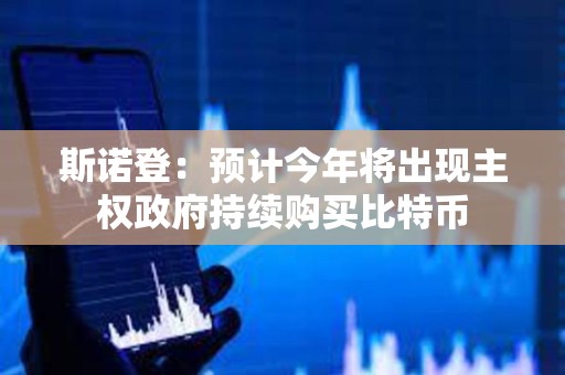 斯諾登：預計今年將出現主權政府持續購買比特幣