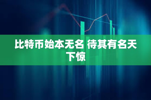 比特幣始本無(wú)名 待其有名天下驚