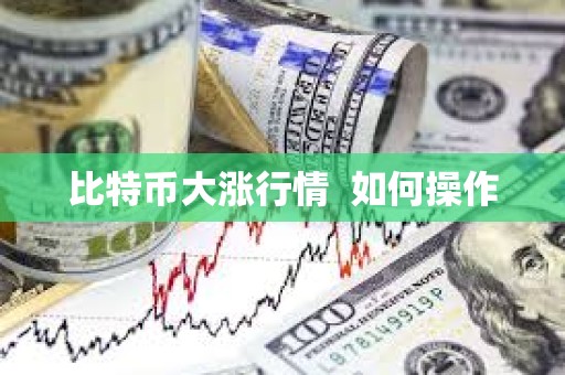 比特幣大漲行情  如何操作