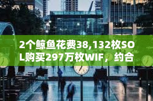 2個鯨魚花費38,132枚SOL購買297萬枚WIF，約合500萬美元