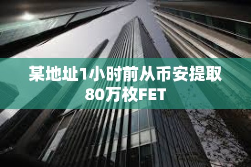 某地址1小時前從幣安提取80萬枚FET