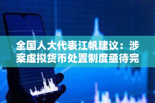 全國人大代表江帆建議：涉案虛擬貨幣處置制度亟待完善