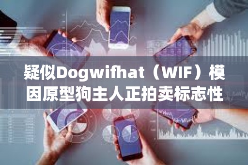 疑似Dogwifhat（WIF）模因原型狗主人正拍賣(mài)標(biāo)志性照片NFT