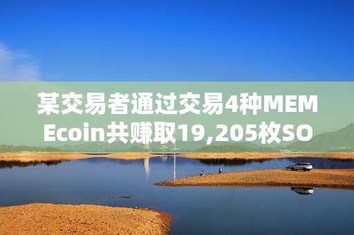 某交易者通過交易4種MEMEcoin共賺取19,205枚SOL