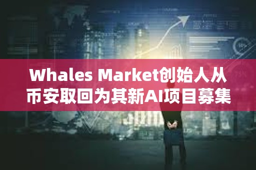 Whales Market創(chuàng)始人從幣安取回為其新AI項(xiàng)目募集的10%SOL