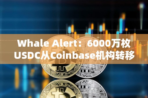 Whale Alert：6000萬枚USDC從Coinbase機(jī)構(gòu)轉(zhuǎn)移到未知的錢包