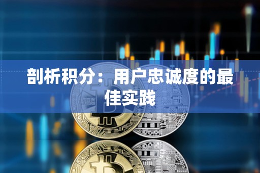 剖析積分：用戶(hù)忠誠(chéng)度的最佳實(shí)踐