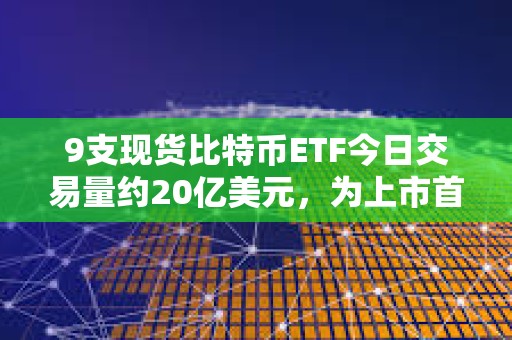 9支現貨比特幣ETF今日交易量約20億美元，為上市首日以來最高