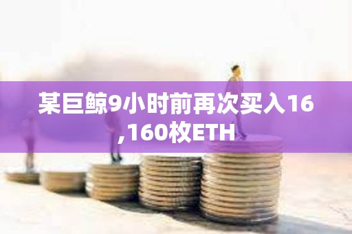某巨鯨9小時前再次買入16,160枚ETH