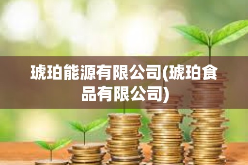 琥珀能源有限公司(琥珀食品有限公司)