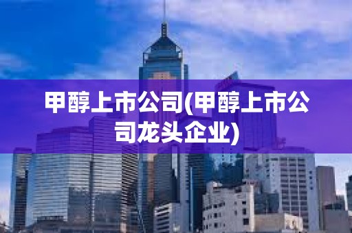甲醇上市公司(甲醇上市公司龍頭企業)