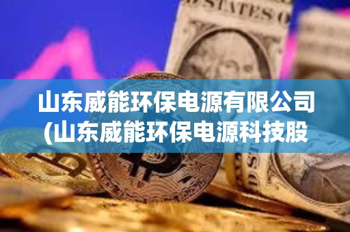 山東威能環保電源有限公司(山東威能環保電源科技股份有限公司)