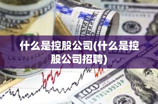 什么是控股公司(什么是控股公司招聘)