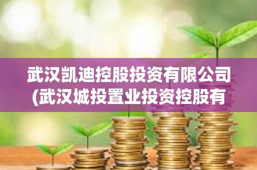 武漢凱迪控股投資有限公司(武漢城投置業投資控股有限公司)