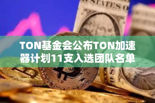 TON基金會公布TON加速器計劃11支入選團隊名單