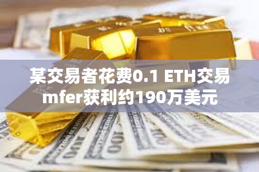 某交易者花費0.1 ETH交易mfer獲利約190萬美元