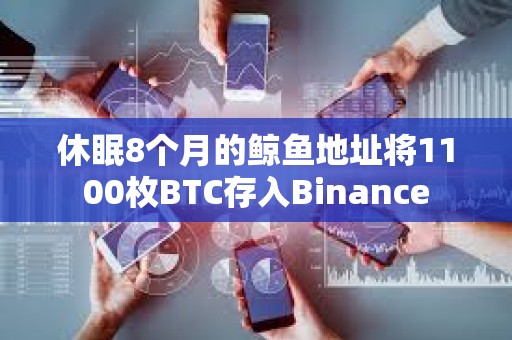 休眠8個(gè)月的鯨魚(yú)地址將1100枚BTC存入Binance