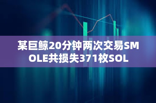 某巨鯨20分鐘兩次交易SMOLE共損失371枚SOL