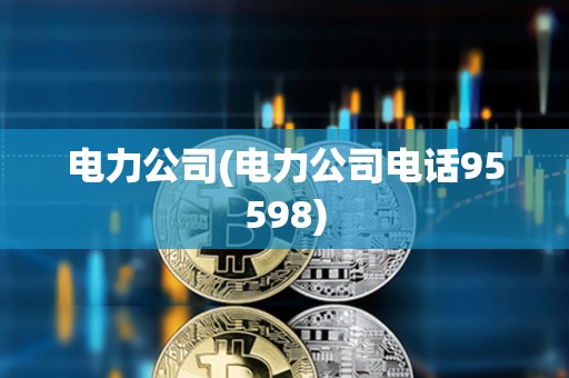 電力公司(電力公司電話95598) 電力公司(電力公司電話95598)