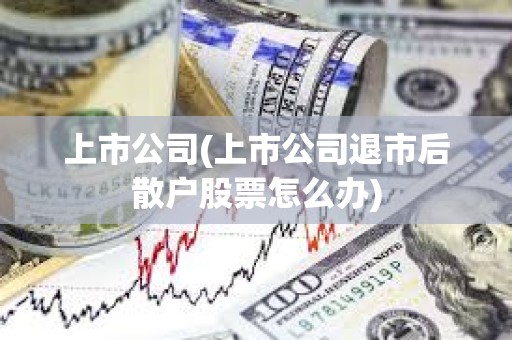 上市公司(上市公司退市后散戶股票怎么辦)