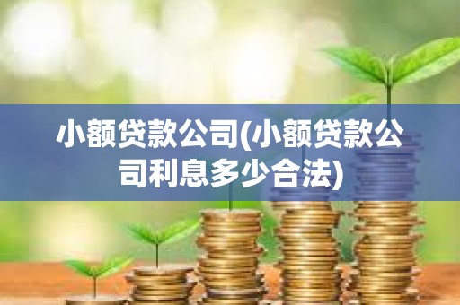 小額貸款公司(小額貸款公司利息多少合法)