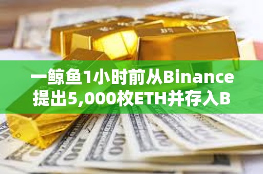 一鯨魚1小時前從Binance提出5,000枚ETH并存入Blast