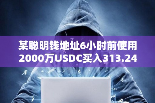 某聰明錢地址6小時前使用2000萬USDC買入313.24枚WBTC