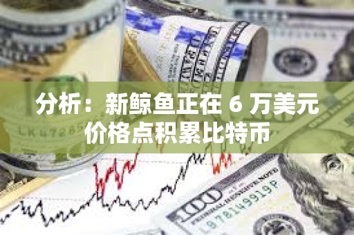 分析：新鯨魚正在 6 萬美元價格點積累比特幣