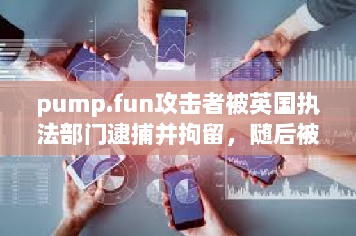 pump.fun攻擊者被英國執法部門逮捕并拘留，隨后被保釋
