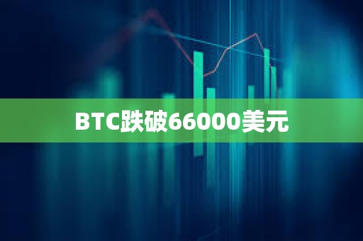 BTC跌破66000美元