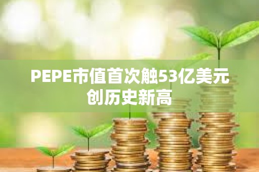 PEPE市值首次觸53億美元創(chuàng)歷史新高