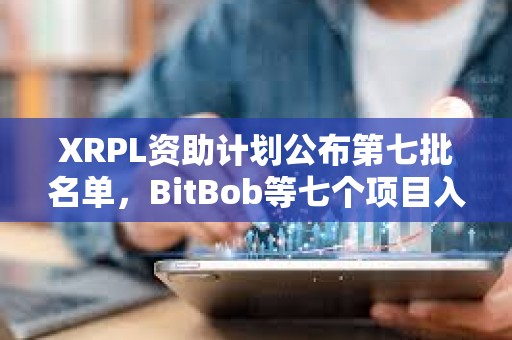 XRPL資助計劃公布第七批名單，BitBob等七個項目入選