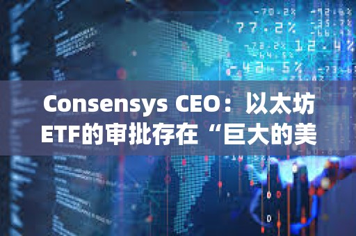 Consensys CEO：以太坊ETF的審批存在“巨大的美國政治問題”