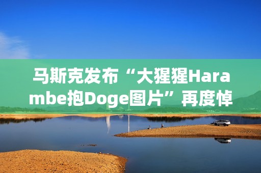 馬斯克發布“大猩猩Harambe抱Doge圖片”再度悼念DOGE原型柴犬KABOSU