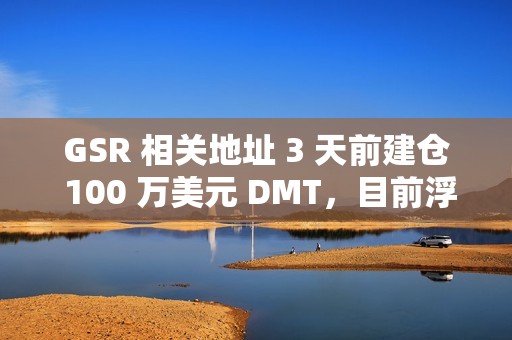 GSR 相關地址 3 天前建倉 100 萬美元 DMT，目前浮盈 24%