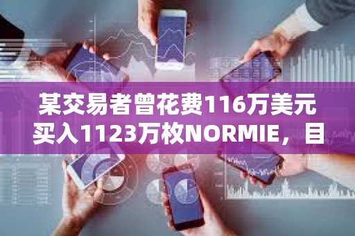 某交易者曾花費(fèi)116萬美元買入1123萬枚NORMIE，目前價(jià)值不到150美元