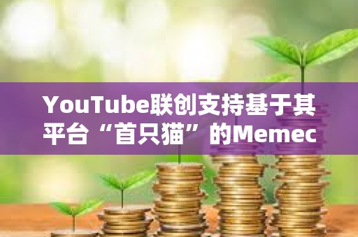 YouTube聯創支持基于其平臺“首只貓”的Memecoin